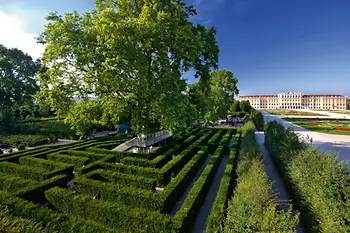 Maze in front of the Schönbrunn Palace